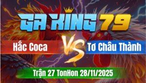 Trận 27 TonHon 28/11/2025 - Gà Anh Hắc Coca Tải Cựa Quá Tốt