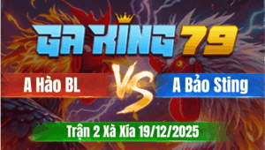 Trận 2 Xà Xía 19/12/2025 - Gà Idol Bảo Sting Nuốt Ói Thắng Đẳng Cấp
