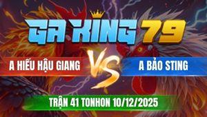 Trận 41 TonHon 10/12/2025 - Gà Cú Đâm Bướm Hiệu Bảo Sting Chết Đứng