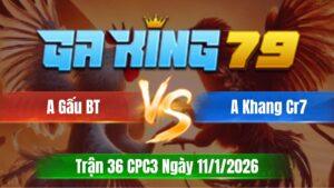 Trận 36 CPC3 Ngày 11/01/2026 - Que có chân chuộc xe lúc cây lưng úa ói cơm