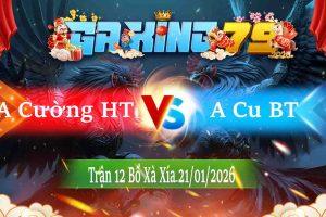 Tran 12 Xa Xia 22012026