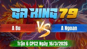 Trận 6 CPC2 Ngày 16/3/2026 - Điều vô ăn cây té giả gồng tang giản ra về bờ