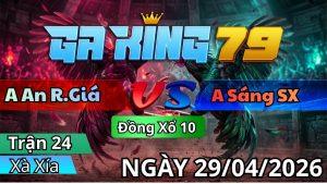Trận 24 Xà Xía Ngày 29/04/2026 - Cú chậm gà đút vô khét đạp hỡ van tim hư