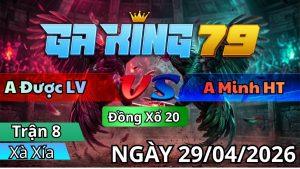Trận 8 Xà Xía Ngày 29/04/2026 - Chuối vô chân cuối bướm nói lời từ biệt