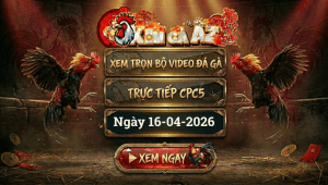 Xem Full Video Đá Gà CPC5 Ngày 16/04/2026