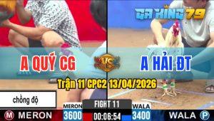 Trận 11 CPC2 13/04/2026 - Gà Điều Anh Quý CG Đâm Cựa Chắc Nịch