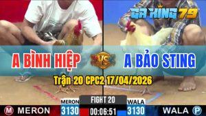 Trận 20 CPC2 17/04/2026 - Gà Úa Hiệu Của Bảo Sting Đá Thì Thứ Gì Chịu Nổi