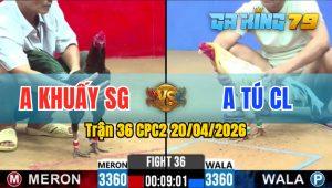 Trận 36 CPC2 20/04/2026 - Gà Bướm Anh Tú CL Quá Nhanh Quá Nguy Hiểm