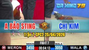 Trận 7 CPC2 25/04/2026 - Nu Mặt Dầm Không Phục Chấp Ngông Idol Bảo Sting Và Kết Cục Nằm Chết