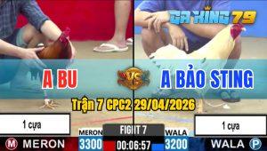 Trận 7 CPC2 29/04/2026 - Bướm Điều Đá 1 Cựa Nhay Đến Phút Cuối Cùng