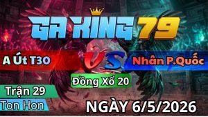 Trận 29 TonHon Ngày 06/05/2026 - Điều vô bị chế cứng mình vô kiến sụp chịu không nổi
