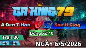 Trận 30 TonHon Ngày 06/05/2026 - Bướm hụp tránh né đá câu úa té gãy dò