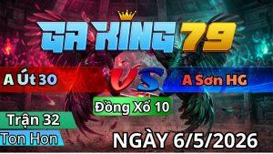 Trận 32 TonHon Ngày 06/05/2026 - Bướm đâm như sam sít điều vô vài tay nước cúng