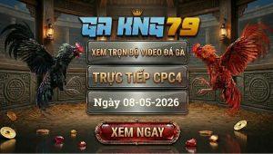 Xem Full Video Đá Gà CPC4 Ngày 08/05/2026