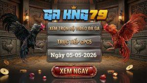 Xem Full Video Đá Gà CPC5 Ngày 05/05/2026