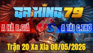 Trận 20 Xa Xia 08/05/2026 - 2 con cuốn vô tùng siết gà vàng chọt cây xám chuối thúi tủ