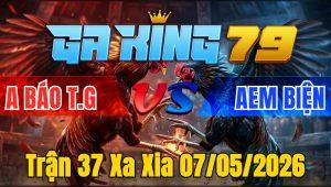 Trận 37 Xa Xia 07/05/2026 - Xanh bay nạp bướm hụp chọt cây tắt điện